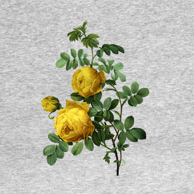 Vintage Yellow Roses Flowers by iliketeasdesigns